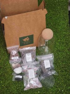 Terrarium DIY Kit