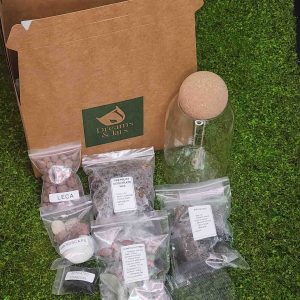 Terrarium DIY Kit
