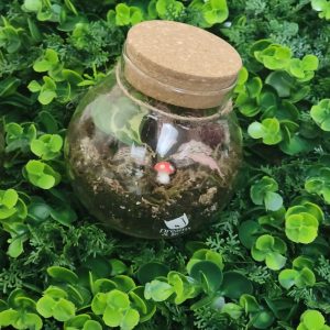 The Peace Orb Collection