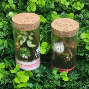 The Mini Zen Collection