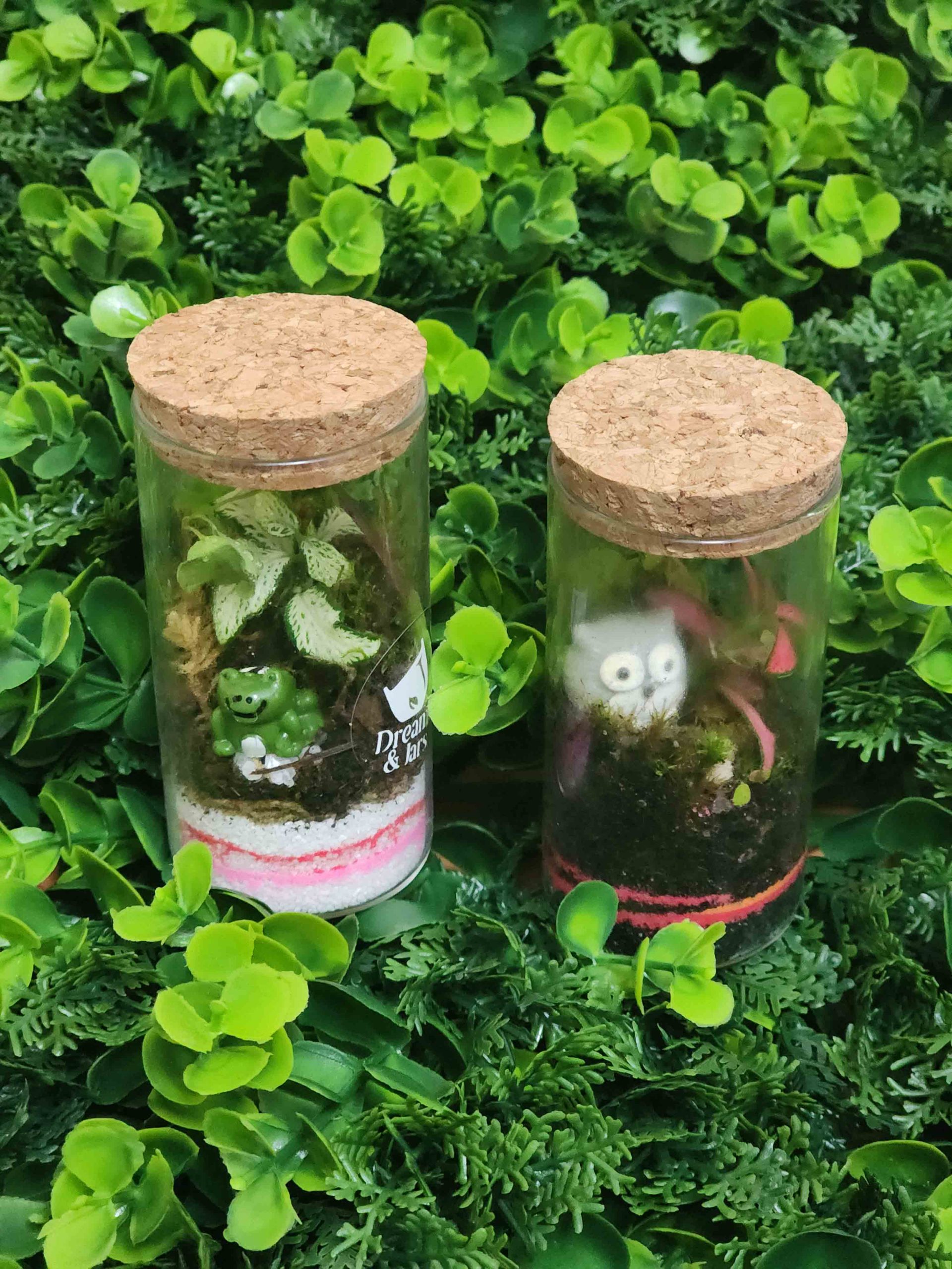 The Mini Zen Collection
