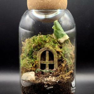 Woodland Tales I