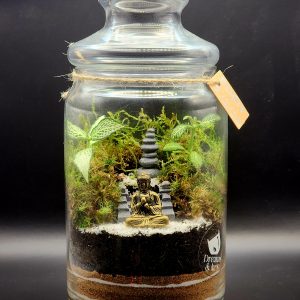 Mindful Garden I